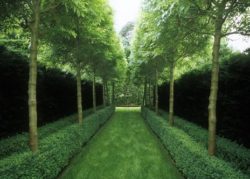 Peter Fudge Gardens  Living Symmetry - Windows Internet Explorer 28012009 31833 PM.bmp