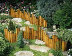 bamboo-landscape-edging-10