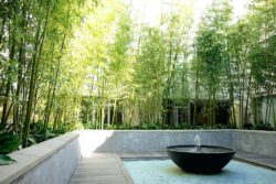 fascinating-minimalist-indoorarden-design-for-home-decor-modern-custom-with-central-atrium-and-interior-bamboo-futuristic-ideas-house-1440x1440-brilliant-1024x685
