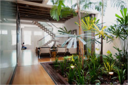 indoor-garden-near-with-living-room-using-as-green-area