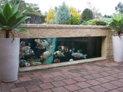 koi-ponds-and-water-gardens-for-modern-homes-28