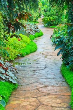 3-garden-paths