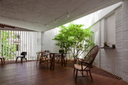 Interior-Gardens-in-modern-homes-2