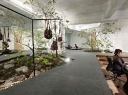 contemporary-office-design-with-creative-indoor-garden