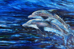 dolphinfinal1resized