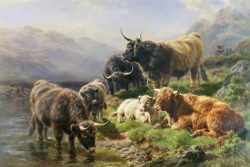 highland-cattle-william-watson