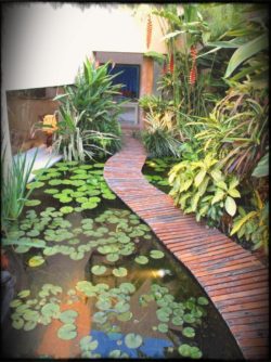 interior-wooden-garden-path-ideas-walkways-walkway-pathways-gate-edging-astounding-plant-present-modern-narrow-pond-with-water-lilies