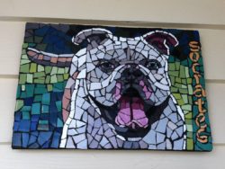 mosaic of dog by pip edwards