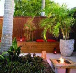 palm-species-gold-fruit-palm-palm-tree-care-terrace-design