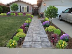 14803e4f5761da99f2ad61b82b9d738b--landscaping-front-yards-backyard-landscaping