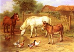 5-Ponies-Donky-and-Ducks-In-A-Farmyard-farm-animals-Edgar-Hunt