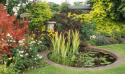 Alan-Titchmarsh-tips-create-pond-garden-802569