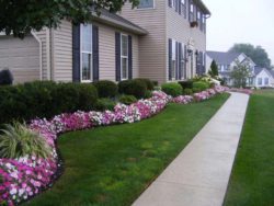 Front-Yard-Landscaping-Plants-and-Shrubs