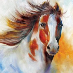 Modern-Wall-Art-100-Handpainted-Abstract-Pictures-Handsome-Pony-Pictures-on-Canvas-Horse-Oil-Paintings-for
