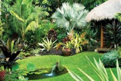 Simple-Home-Tropical-Garden-Design-Layout