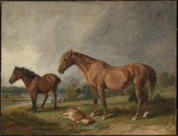 Portraits of Blackthorn, a Broodmare, with Old Jack, a Favourite Pony, the Property of E. Mundy, Esq. 1812 James Ward 1769-1859 Presented by Paul Mellon through the British Sporting Art Trust 1979 http://www.tate.org.uk/art/work/T02377