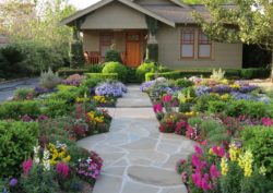 beautiful-front-yard-landscape-bloom