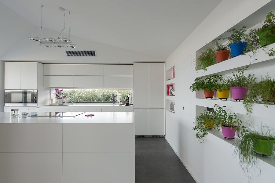 Colorful-herb-garden-brings-liveliness-to-the-white-contemporary-kitchen