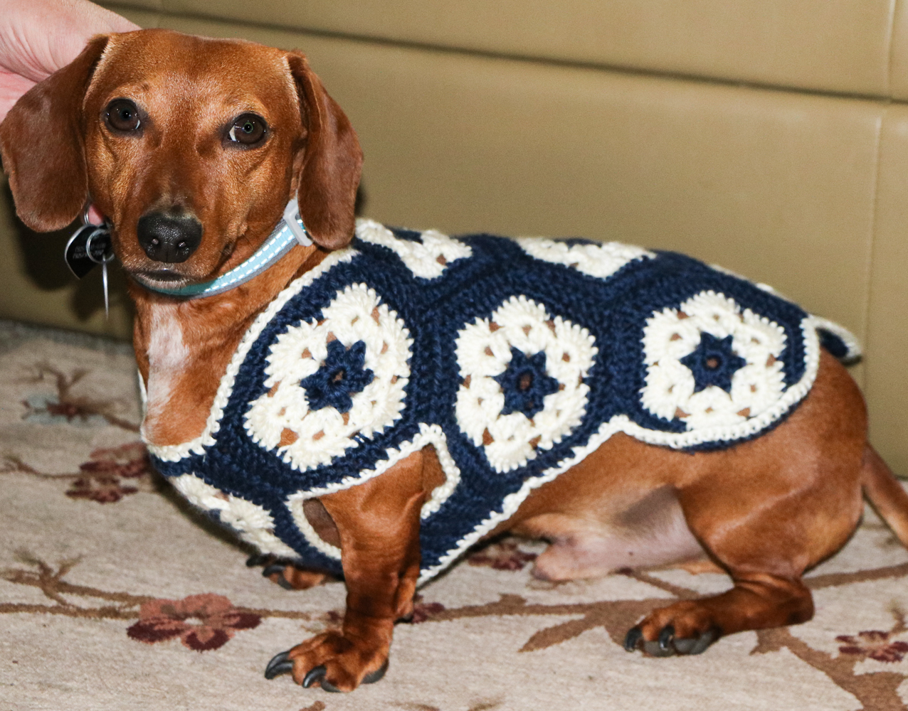 Crochet-Dog-Sweater-Pattern-Dachshund