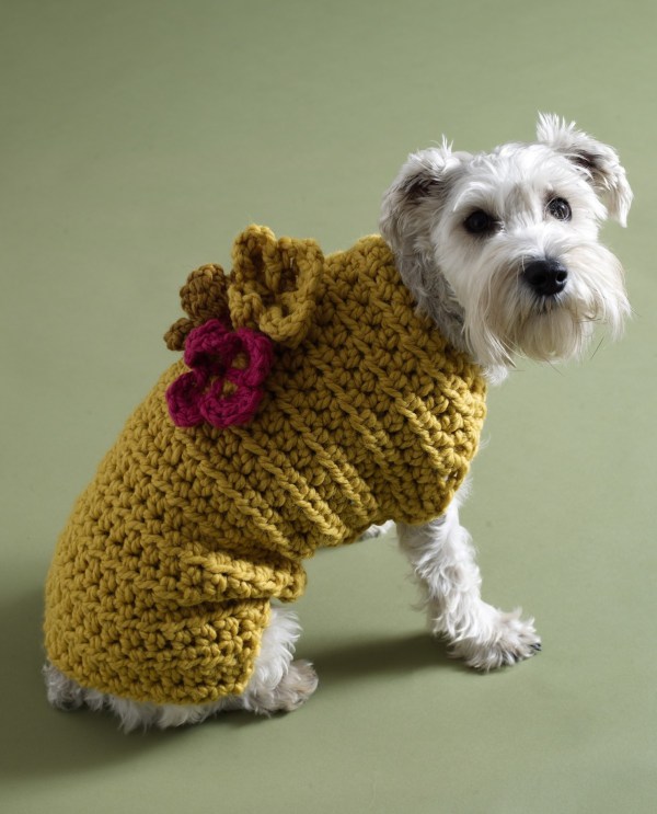 Crochet-Pattern-Flower-Garden-Dog-Sweater-80934AD-a