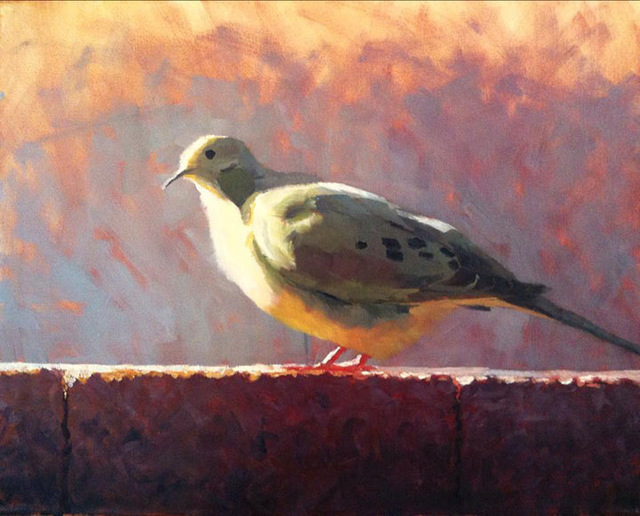 Handpainted-Free-Shipping-Modern-Abstract-Handsome-Lovely-Dove-Oil-Painting-On-Canvas-Wall-Art-For-Living.jpg_640x640