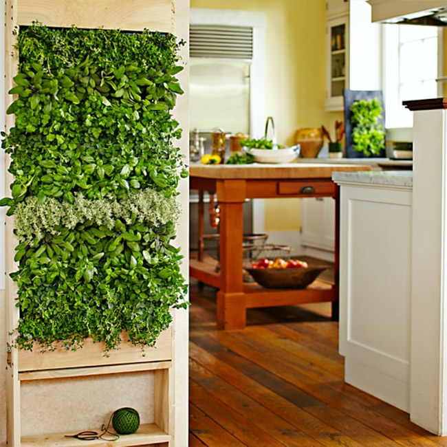 Williams-Sonoma-Freestanding-Vertical-Garden-for-Kitchen