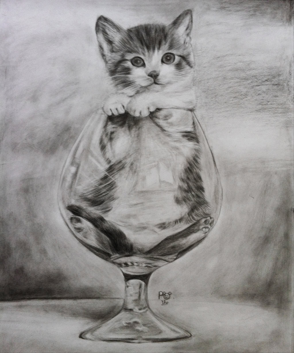 Cat Drawings In Pencil Pencil Sketches Of Cats 19+ Cat Drawings, Art Ideas, Sketches  - DRAWING AND PAINTING