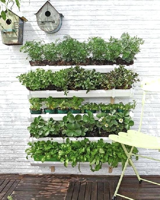 herb-wall-garden-herb-wall-gutter-herb-garden-diy-living-wall-herb-garden