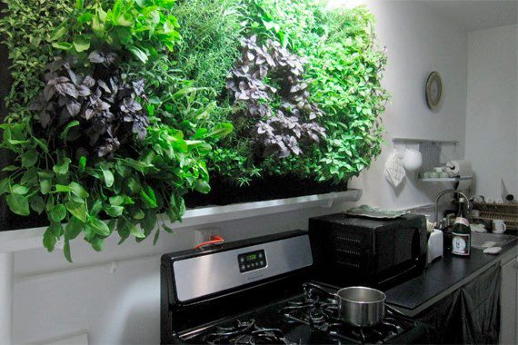 indoor-herb-garden-kitchen