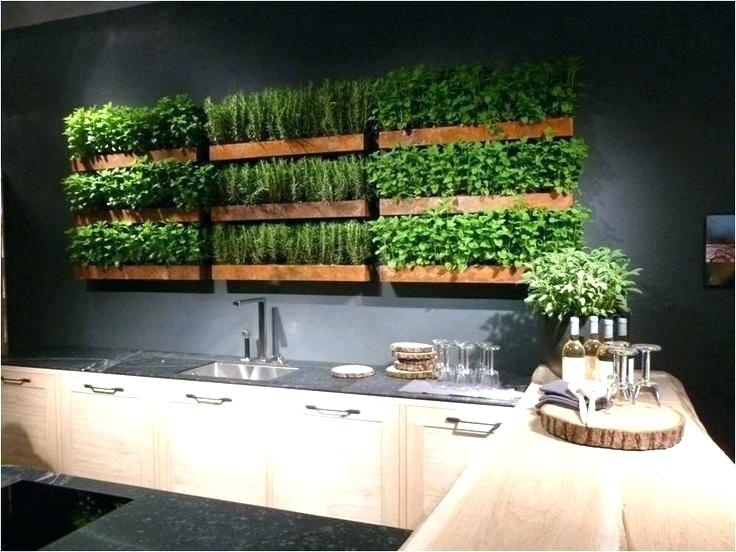 indoor-herb-garden-wall-cool-aria-vertical-gallery-of-find-this-pin-and-more-on-with-planter-boxes-ind