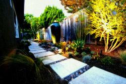 More 5 Elegant Modern Australian Front Garden Ideas - Home Design Interior