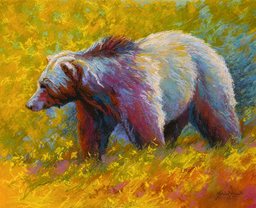 the-wandering-one-grizzly-bear-marion-rose-1