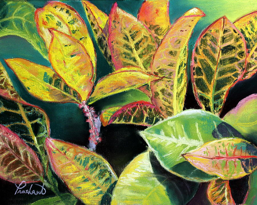 tropical-colorful-croton-leaves-prashant-shah