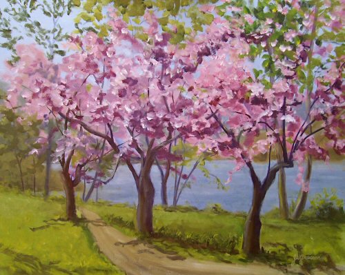 051005 Boscobel Cherry Blossoms 16x20 500