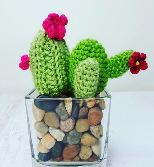 Crochet-Cactus-Home-Decor-_Large500_ID-1834148