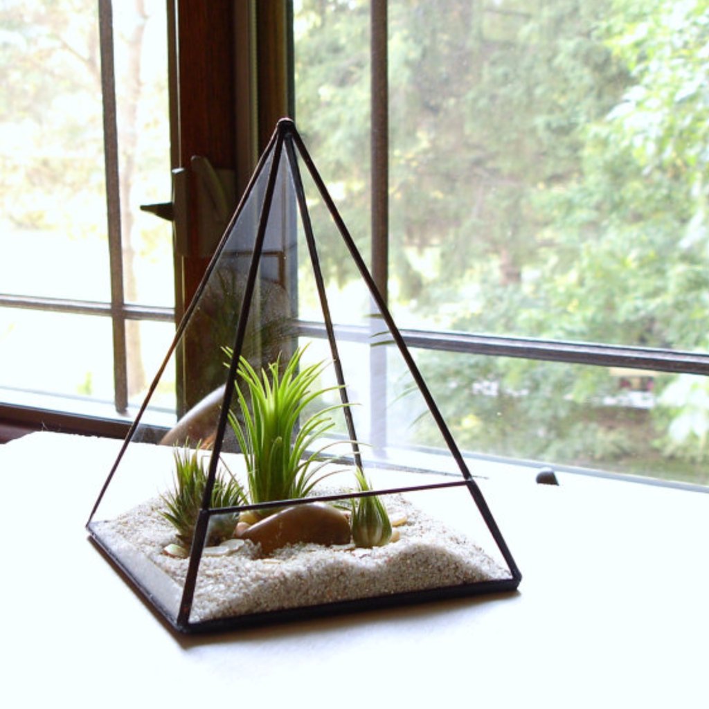 Cute-Office-Plants