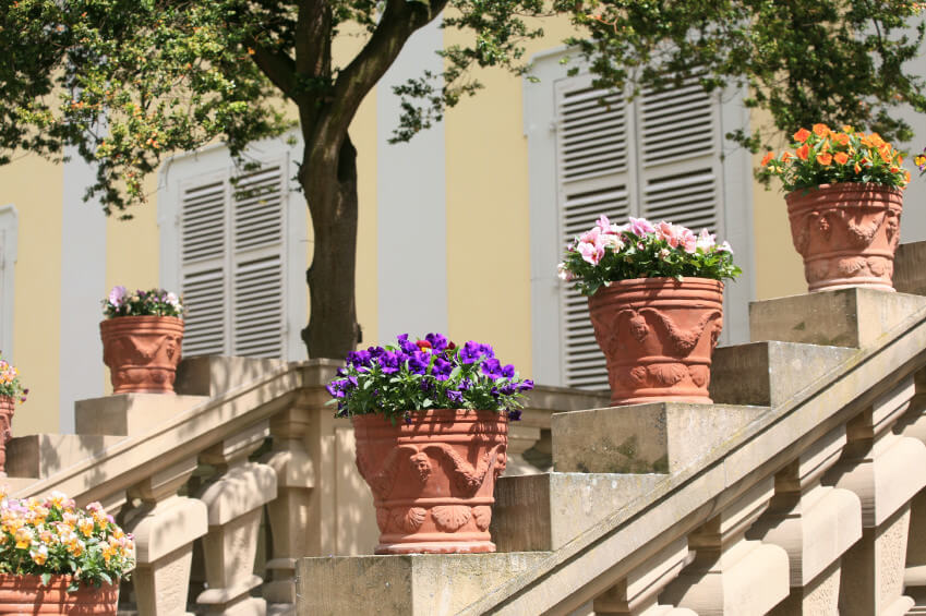 11flower-pots-on-stairs