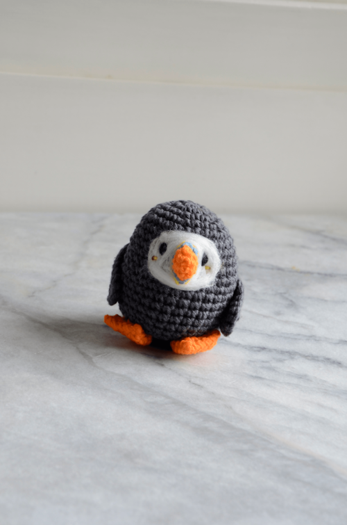 Pocket-Sized-Puffin_Large500_ID-3102225