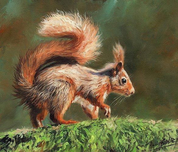 artwork-red-squirrel-on-branch-unframed-modern